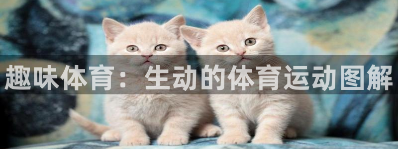欧亿体育官方集团官网:趣味体育:生动的体育运动图解