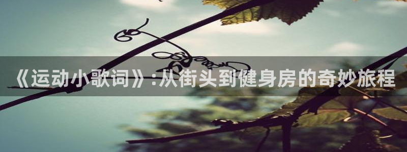 oety欧亿体育官网下载平台注册要钱吗安全吗:《运动小歌词》